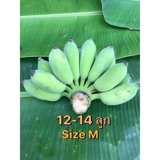 กล้วยน้ำว้า ปลอดสาร เมืองเพชร (ตัดสด พร้อมส่ง ตามออเดอร์) 🍌เริ่มต้น หวีละ 35บ.
