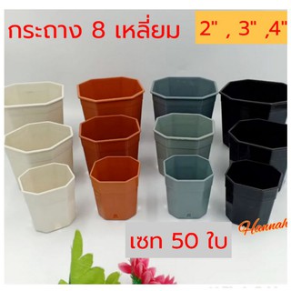 กระถางต้นไม้ 4 นิ้ว เซ็ท 50 ใบ (8เหลี่ยม) กระถางต้นไม้พลาสติก กระถางแคนตัส สีขาว สีดำ สีเทา สีส้ม