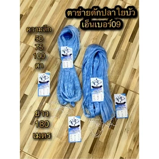 #ตาข่ายดักปลา#เอ็นใยบัวเบอร์09#เอ็นใยบัวเบอร์10#เอ็นใยบัวเบอร์11#เอ็นใยบัว#มองดักปลาเบอร์9#มองใยบัว#ข่ายใยบัว