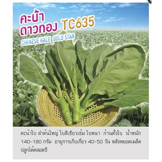 เมล็ดพันธุ์ คะน้า ดาวทอง 4,450 เมล็ด - Chinese Kale Gold Star คะน้าใบ ตราดอกแตง เมล็ดผัก คุณภาพ "เพื่อนเกษตรกร"