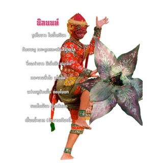 นิลนนท์ ตับรามเกียรติ์