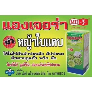 ควิซาโลฟอป -พี-เอทิล แองเจอร่า ตราหัววัว-คันไถ 🍃 ยาฆ่าหญ้าใบแคบ ลูกข้าว กำจัดวัชพืชใบแคบ ล้มลุก ปลอดภัยต่อพืชใบกว้าง