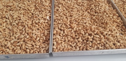 เม็ดมะม่วงหิมพานเกรด A เม็ดมะม่วงหิมพานต์อบเม็ดเต็มอันดับ 1 ราคาถูก รสเกลือ  รสธรรมชาติ  อบสดใหม่หอมอร่อย ราคา ถูกที่สุด ดีลบีเคเค แกลเลอรีภาพที่ 5