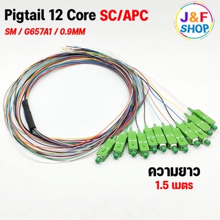 สายไฟเบอร์ออฟติกพิกเทล (Pigtail) 1 Core ชนิดหัว SC/APC จำนวน 12 เส้น ยาว 1.5-3 เมตร