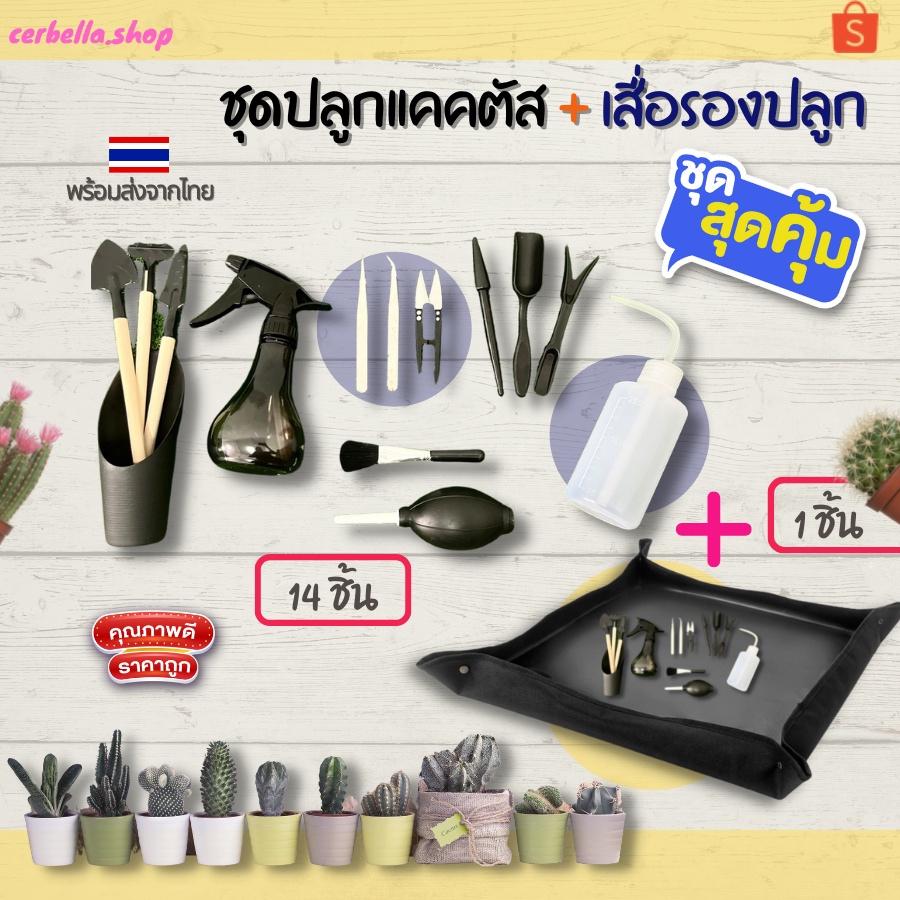 พิเศษ ชุดปลูกแคคตัส 14 ชิ้น และ เสื่อรองปลูก 4 ทำสวน ไม้อวบน้ำ  รับประกันคุณภาพ สินค้าใหม่คุณภาพดีชุดทำสวนในบ้าน