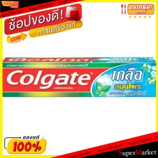 ว๊าว🍟 COLGATE ยาสีฟัน คอลเกต สูตรเกลือสมุนไพร ขนาด 80กรัม/หลอด ยกแพ็ค 6หลอด ดูแลช่องปาก