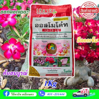 ออสโมโค้ท 1Kg.Prem (Osmocote)13 -13-13 แบบซอง ไม้อวบน้ำ กุหลาบหิน cactus&amp;succulent เร่งต้น โตไวไม้กระถ