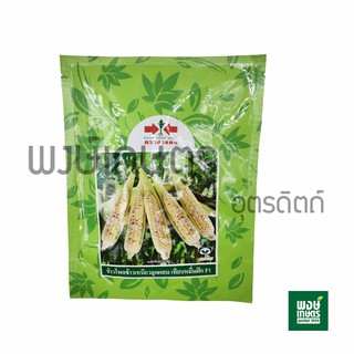 เมล็ดพันธุ์ข้าวโพดข้าวเหนียวลูกผสมเทียนหมื่นฝักF1 (200 กรัม) เมล็ดพันธุ์ผัก เมล็ดพันธุ์พืช ผักสวนครัว พรรณไม้ พงษ์เกษตร