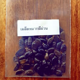เมล็ดหมากผีพ่วน(นมวัว)10เมล็ด/ซอง/99บาท