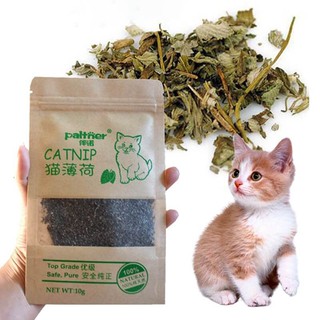 Catnip ขนมแมว อาหารแมว ผลิตภัณฑ์สำหรับแมว ผลิตจากหญ้าธรรมชาติ สร้างความเพลิดเพลิน เคลิบเคลิ้มให้กับแมวของคุณ ไม่อันตราย