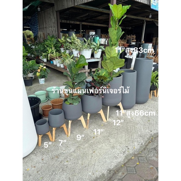 กระถางเบลล่า ทรงสูง มินิมอล