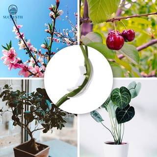 SUCHEN 100 pcs Garden Decoration 90 Degree Plant Bender Potted Plants Control The Growth Reuseable LST Clips Avoid Crowding Easy to Use Multi Functions Houseplant Low Stress Plant Training/Multicolor