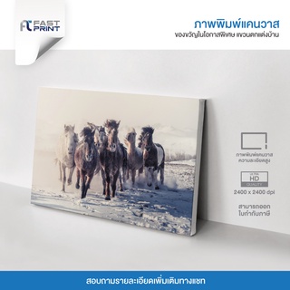 ภาพพิมพ์แคนวาสพรีเมี่ยม รูปสัตว์ ม้า ธรรมชาติ ตกแต่งบ้าน ความละเอียดสูง 2400x2400dpi