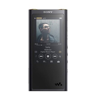 Sony NW-ZX300 Premium Walkman ZX Series