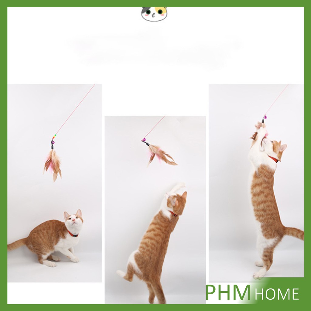 ไม้ตก ของเล่นแมว รูปตัวหนอน Funny cat