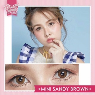 Mini Sandy Brown (1) มินิ ขอบชัด ตัดขอบ สีน้ำตาล ตาล Kitty Kawaii Contact Lens Bigeye คอนแทคเลนส์ สายตา สายตาสั้น แฟชั่น