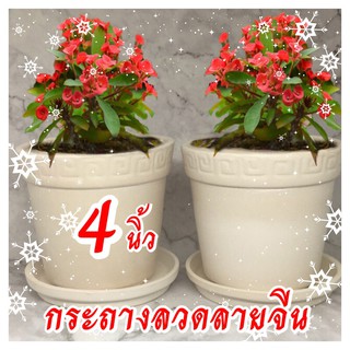 กระถางดินเผาทรงจีน ขนาด4นิ้ว ยกโหล/12ชุด พร้อมจานรอง