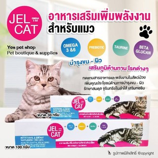 JEL CAT อาหารเสริมเพิ่มพลังงานสำหรับแมว บำรุงขน-ผิว เสริมสร้างภูมิต้านทาน โรคต่างๆ (แบบตัวเลือก)