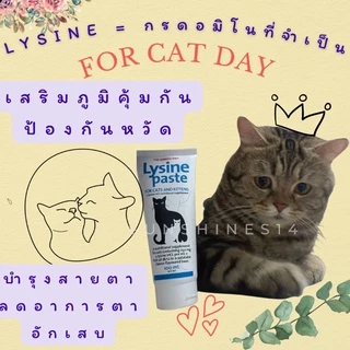 Lysine ไลซีน เเมวเลีย รสชีสเเสนอร่อย ปริมาณไลซีนสูงมาก กระตุ้นภูมิ ป้องกันหวัด,ไอ,จาม เยื่อบุตาอักเสบ(V M D)