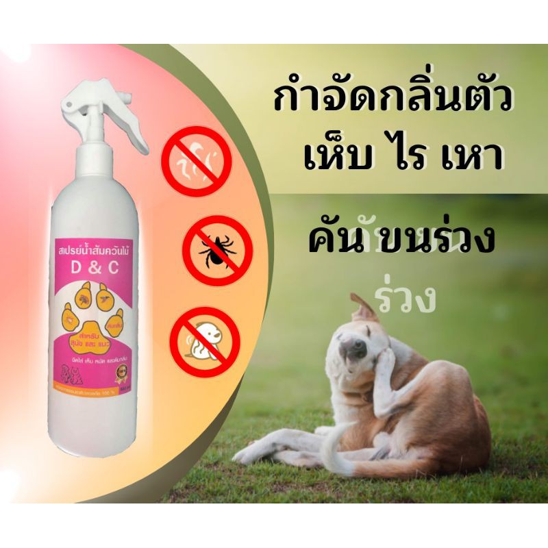 สเปรย์น้ำส้มควันไม้ D&C 500 ml