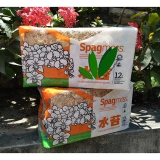 Sphagnum moss สแฟ็กนั่มมอส แบ่งขายกล่องละ 50฿ สินค้าพร้อมส่ง
