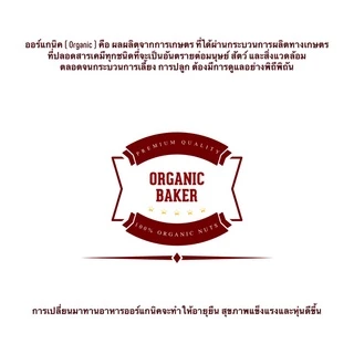 ขิงผง ผงขิง ออร์แกนิค 100% ไม่มีน้ำตาล Organic Ginger Powder ผลิตจากขิงแก่อายุ 12 เดือนขึ้นไป ขิง ขิงแก่ สมุนไพร