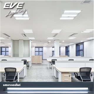 EVE (ลดล้างสต๊อก) หลอดแอลอีดี T8 (ไม่รวมชุดรางไฟ) รุ่น ECO ขนาด 8W 9W แสงขาว แสงเหลือง
