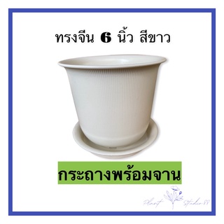 กระถางทรงจีน 6 นิ้ว สีขาว พร้อมจานรอง