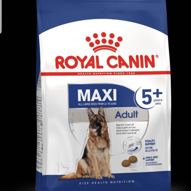 Royal canin อาหารสุนัขพันธุ์ใหญ่หมาแก่ ขนาด 15 กก.