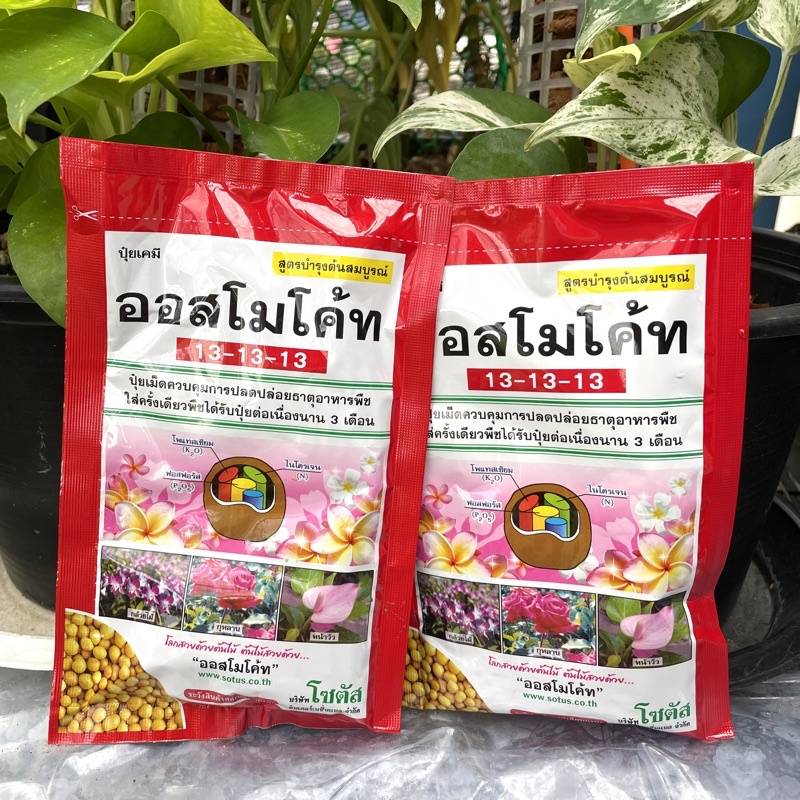 ออสโมโค้ท 13-13-13 ปุ๋ยละลายช้า สูตรเสมอ แบ่งขายราคาถูก