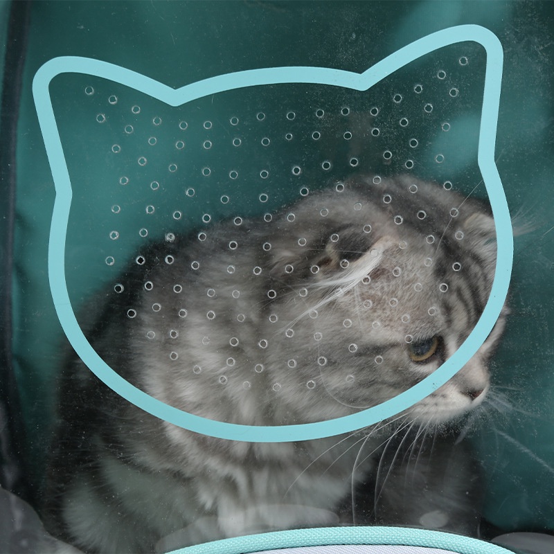 P002 Space pet package กระเป๋าแมว กระเป๋าใส่สัตว์​เลี้ยงทรงอวกาศ  มี5สีให้เลือก รูปที่ 3