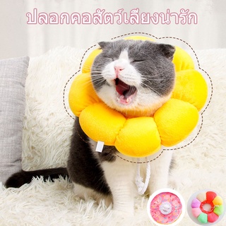 🐱เตรียมจัดส่ง🐈ปลอกคอสัตว์เลี้ยงร น่ารัก ปลอกคอสัตว์เลี้ยง ปลอกคอแมว ปลอกคอกันเลียปลอกคอสัตว์เลี้ยง