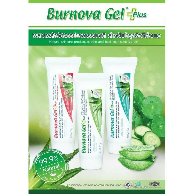[Sale!!! ของแท้ ถูกที่สุด!!!] Burnova Gel Plus 25g. เจลว่านหางจระเข้ ลดรอยสิว ผิวไหม้ ตัวดัง!!!