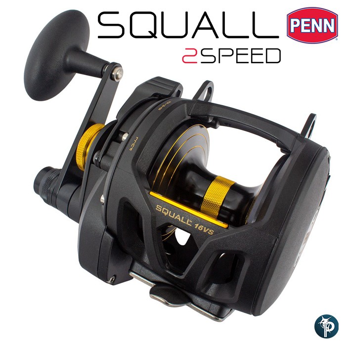 PENN Rival Level Wind Conventional Nearshore/Lake Fishing Reel, HT-100 Star  Drag, Max of 15lb