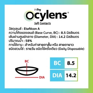 Ocylens สายตาสั้น โปร 1 กล่อง 30 คอนแทคเลนส์ รายวัน ชนิดใส