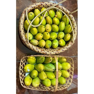 มะม่วงอกร่องโบราณ มะม่วงอกร่อง 1 กิโลกรัม ส่งแบบดิบไปให้บ่มเ…