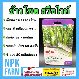 ผักซอง ศรแดง ข้าวโพด สวีทไวท์ จำนวน 80 เมล็ดต่อซอง เมล็ดพันธุ์ ลอตใหม่ ฝักใหญ่ น้ำหนักดี รสชาติเหนึยว นุ่ม หวาน อร่อย