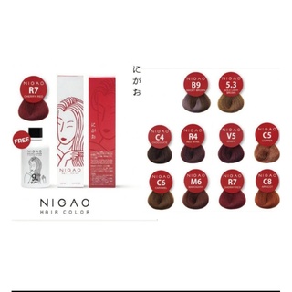 สีนิกาโอะ 🌟โทนสีแฟชั่น 🌟ครีมเปลี่ยนสีผม นิกาโอะ Nigao Hair Color