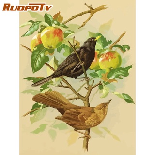 Ruopoty ภาพวาดสีอะคริลิค บนผ้าใบ ตามตัวเลข รูปนก ขนาด 40x50 ซม. สําหรับตกแต่งผนังห้อง