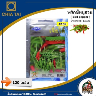 CHIA TAI 🇹🇭ผักซอง เจียไต๋ พริกขี้หนูสวน #110 OP เมล็ดพันธุ์  เมล็ดพันธุ์ผัก  ผักสวนครัว ผักเจียไต๋  Chia Tai