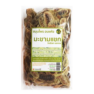 ฝักมะขามแขก รักษาโรคริดสีดวงทวาร 100g