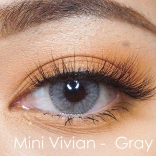 Kitty Kawaii คอนแทคเลนส์ Mini ViVian Grey (สีเทา) ค่าสายตา 0.00 + ฟรีตลับใส่เลนส์