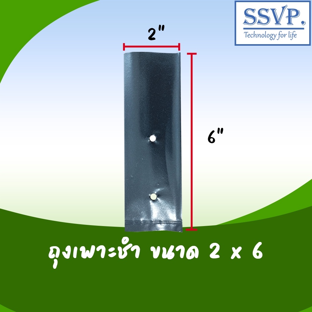 ถุงเพาะชำอย่างดี ขนาด 2 x 6 เกรด A (ประมาณ 400 ใบ / กิโล)