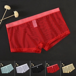 STYLEF-~Brief Mens Panties See-Through Sexy Underpants Underwear L~2XL Transparent-【STYLEF-Fashion】