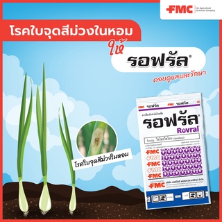 รอฟรัล (ไอโพรไดโอน 50%WP) 💥สารป้องกันและรักษาโรคในหอมหัวใหญ่ ข้าว คะน้า🥬 ผู้พิทักษ์สายพันธุ์ใหม่ของเกษตรกรไทย (500 กรัม)