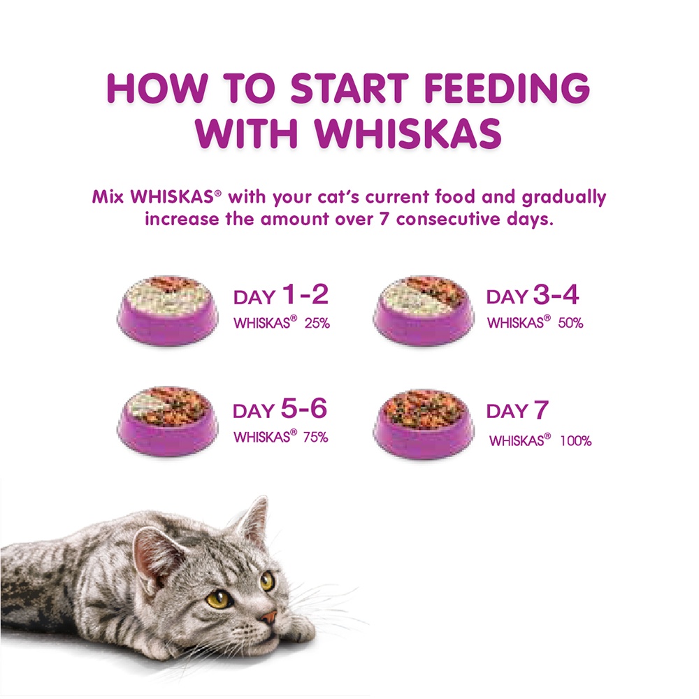 WHISKAS DRY CAT FOOD DRY POCKETS ADULT GOURMET SEAFOOD FLAVOUR 3 kg วิสกัส อาหารแมวชนิดแห้ง แบบ