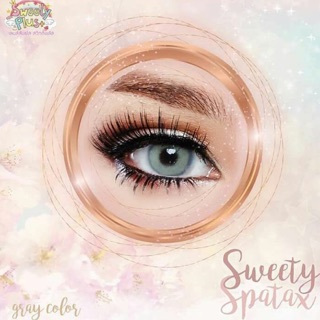 ตาฝรั่ง Sweety Spatax Gray สายตาปกติ✨