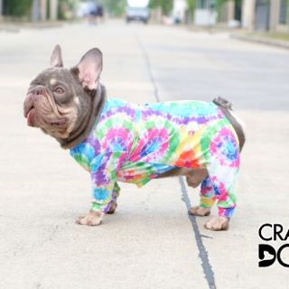 ชุดเก็บขนCrazydog tie dye rainbow