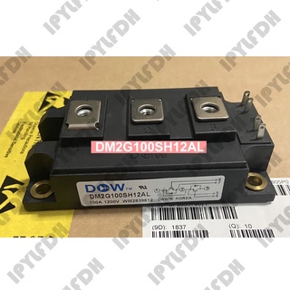 โมดูลเพาเวอร์ IGBT DM2G100SH12AL