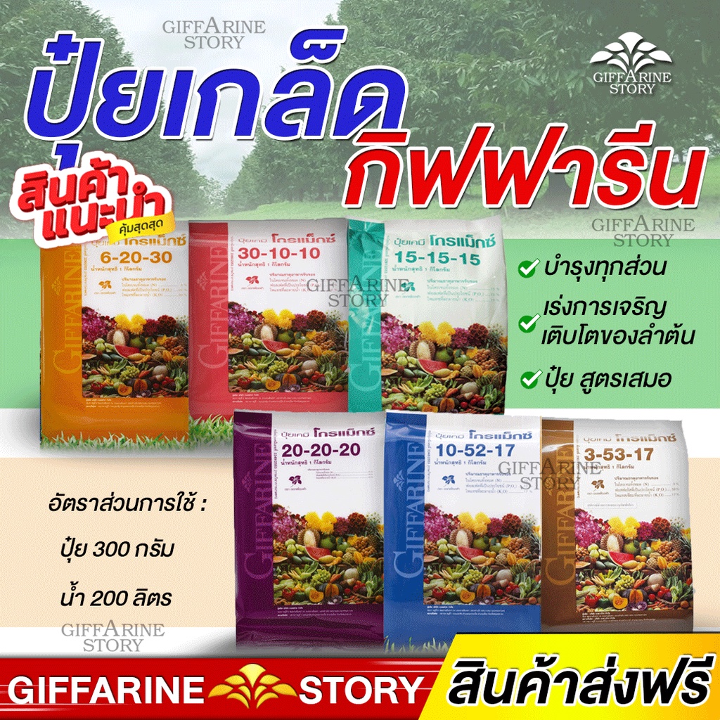 ปุ๋ยเกล็ด ปุ๋ยทางใบ กิฟฟารีน ปุ๋ยเร่งดอก ปุ๋ย ปุ๋ยต้นไม้ อาหารหลัก ครบ 6 สูตร ผลผลิตดี ปุ๋ยกิฟฟารีน